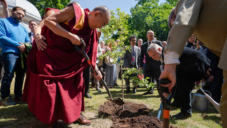Thánh Đức Đạt Lai Lạt Ma trồng một cây non để tượng trưng cho tình hữu nghị giữa Lithuania và Tây Tạng tại Quảng trường Tây Tạng ở Vilnius, Lithuania vào 13 tháng 6, 2018. Ảnh của Tenzin Choejor