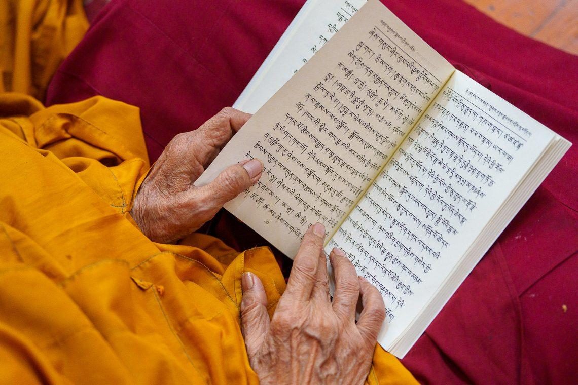 2026 04 22 Dharamsala G08 DSC5431