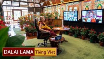 Lòng Từ Bi và Bất Bạo Động